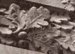 22: 