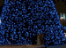 11:  