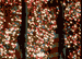 12:  