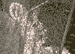 13:  