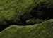 10:  