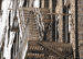 17:  