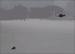 10:  