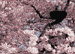 16:  