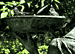 24: 