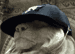 23: John Sterling: The YANK--ees Win! Thhhhheeeeee YANKees WIIIINNN!