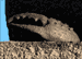 1:  