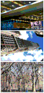 JPEG Journal Archive