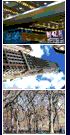 JPEG Journal Archive